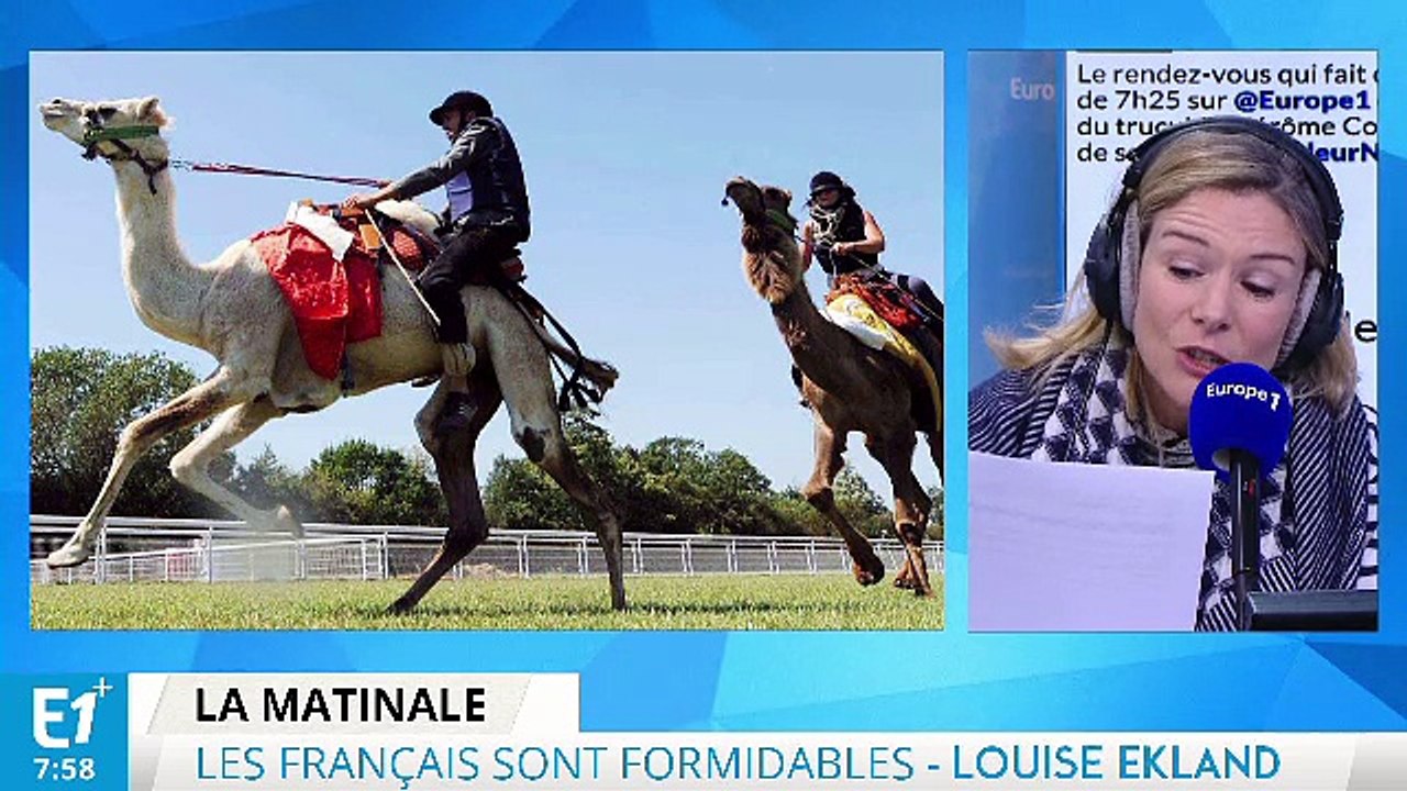 Vaulx-en-Velin : une course de dromadaire pour se détendre !