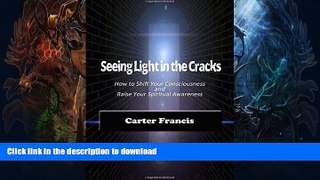 READ BOOK  Seeing Light In the Cracks: How to Shift Your Consciousness and Raise Your Spiritual
