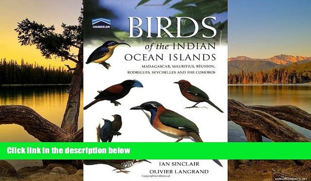 Big Deals Birds of the Indian Ocean Islands: Madagascar, Mauritius, RÃ©union, Rodrigues,