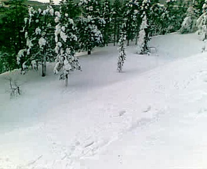 Levi - Metsää Lahellä Gondolia