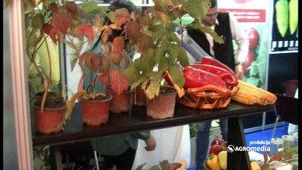 Štand „Superiora“ jedan od najposećenijih na Sajmu poljoprivrede u Prištini!