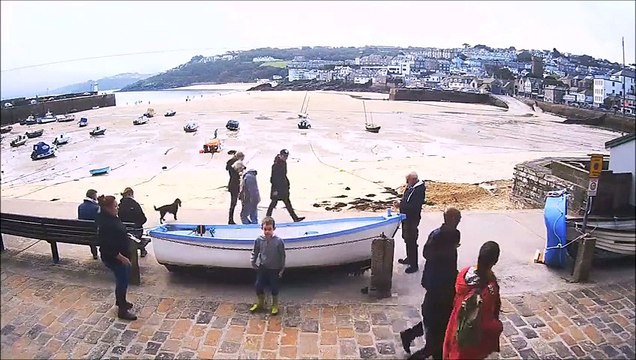 Ce jeune autiste se met à danser sur Thriller de Michael Jackson en face d'une webcam