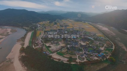 삼성 지펠아삭 #메탈그라운드_Road [경북 안동 종갓집 장김치 편]