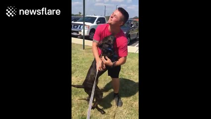 Soldier reunited with puppy after five months away