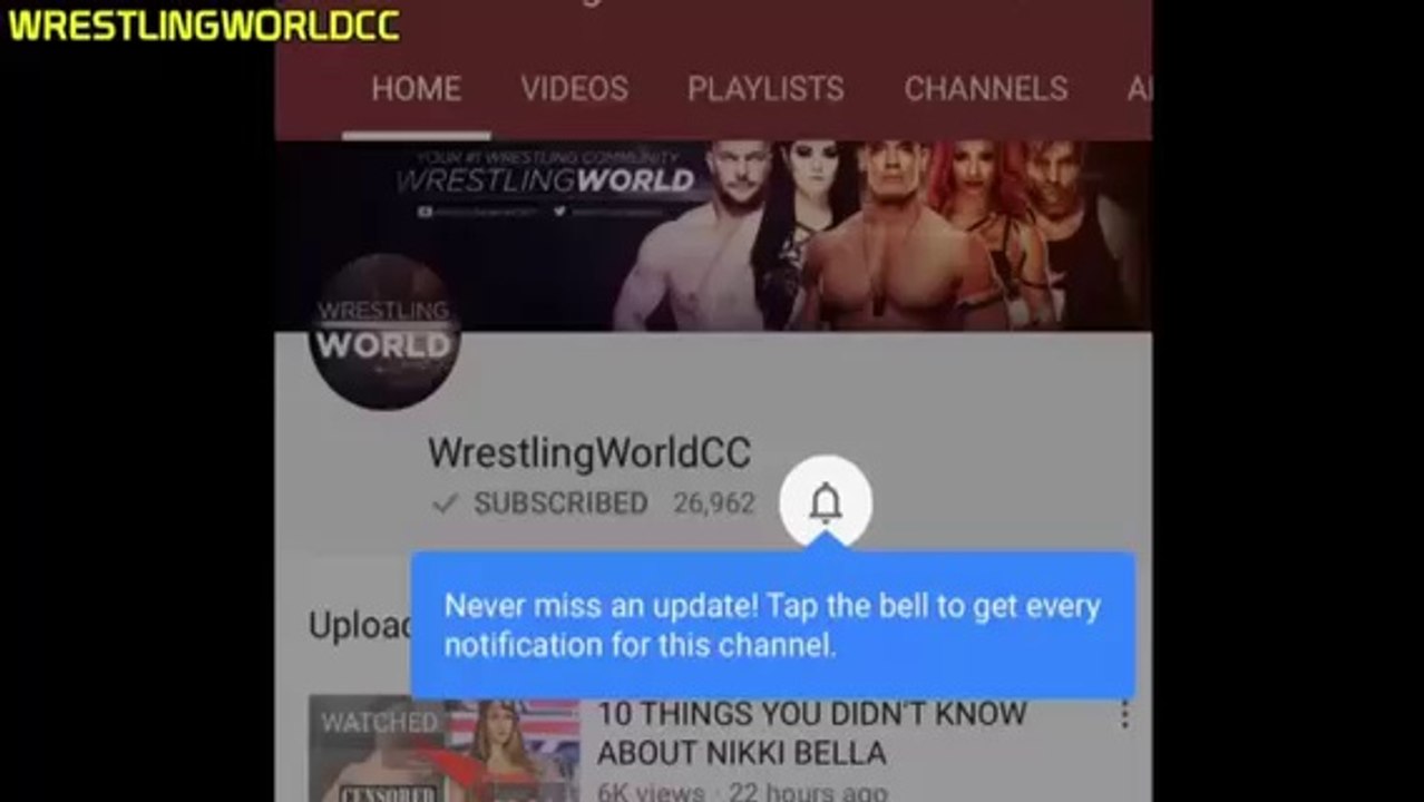 : THE UNDERTAKER TO WWE (UNDERTAKER