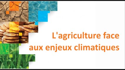 L’agriculture face aux enjeux climatiques