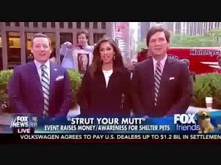 Most viral news bloopers 2016