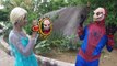 Spiderman Face Reveal! w/ Frozen Elsa Batman Hulk | Spiderman Vs Joker, Fun SuperHero In Real Life