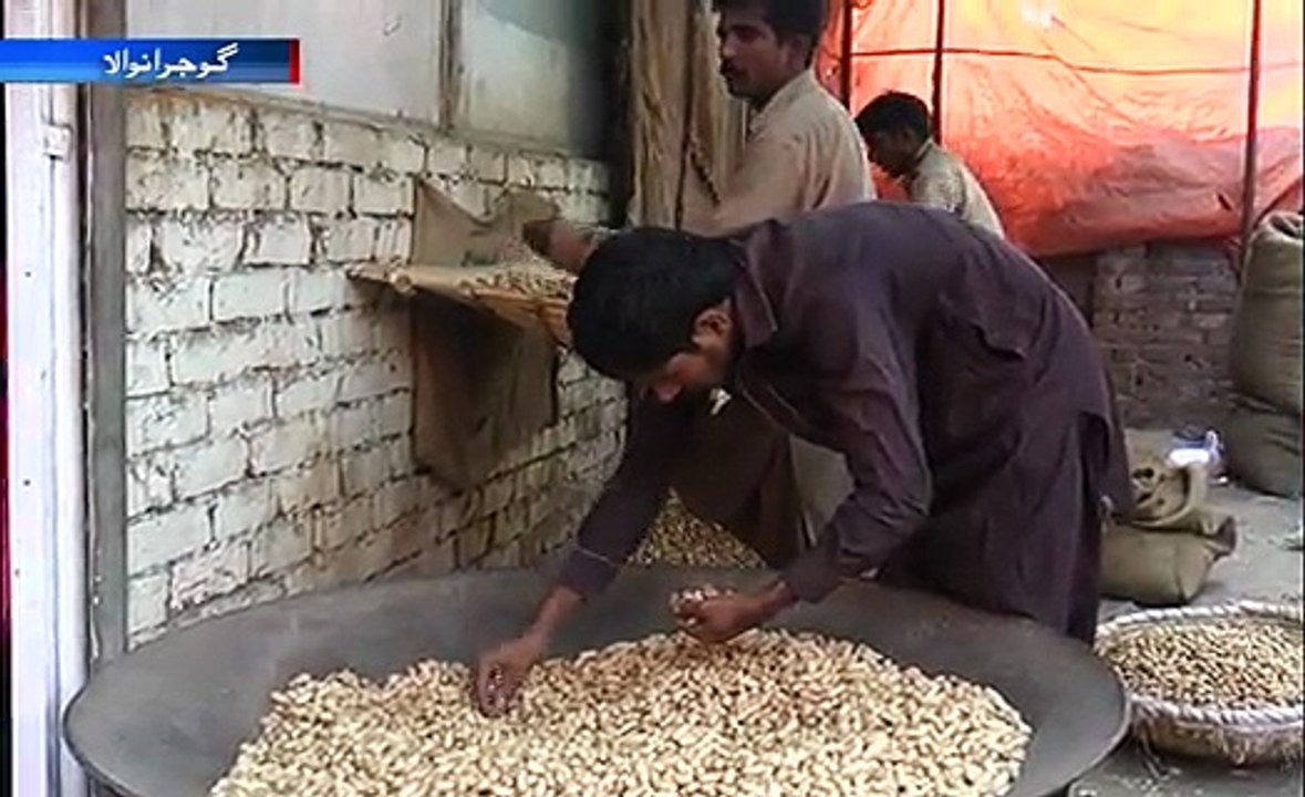 Peanut  Winter Season
