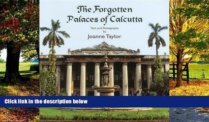 Big Deals  The Forgotten Palaces of Calcutta  Best Seller Books Most Wanted