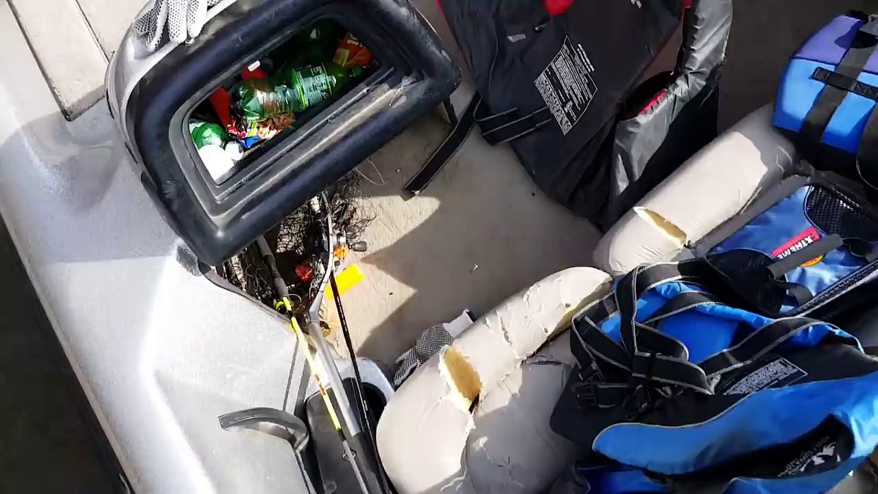 Un pêcheur remarque que quelque chose bouge dans les buissons, lorsqu'il s'approche, il découvre ça!