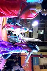 Marathi lavani bai wadyavar ya