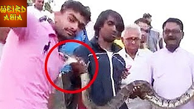 Python Bites Man While Clicking Selfie | Video | Weird Asia