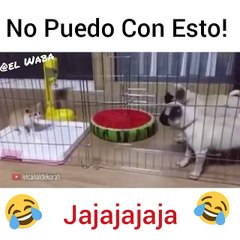 Cuando te sientes muy cabron