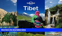 Big Deals  Lonely Planet Tibet (Travel Guide)  Best Seller Books Most Wanted