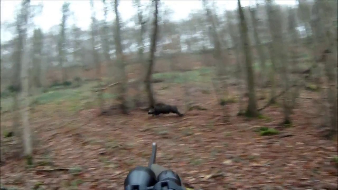 Tirs de 2 sangliers - Chasse HD  - Battue de Sangliers - Caméra embarquée GoPro