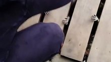 D'étranges pattes sortent d'en-dessous de la passerelle, mais la vision cauchemardesque est en réalité assez banale
