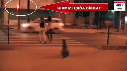 Внимание на собаку))