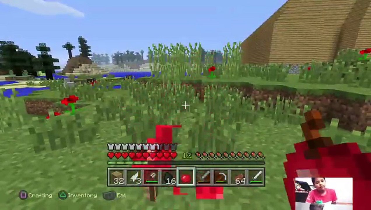 little pro (10)