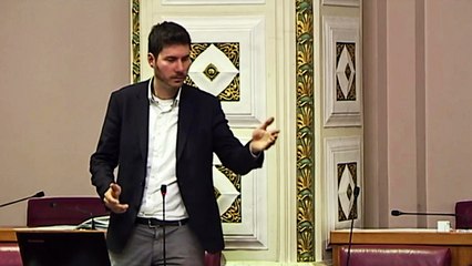 Pernar: "Pernar lupeta, govori gluposti?"