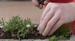 DIY : transformez une mangeoire en jardinière