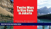 Big Deals  Twelve Ways to Stay Sane in Jakarta: Dharma, Mindfulness and Other Means (Running In