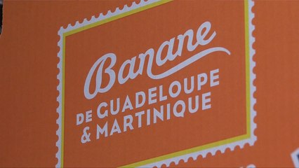 Mag Sorties N°12 - 11 Novembre 2016