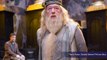 Muggles Everywhere are Losing Their Minds over Harry Potter Surprise