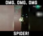 Omg Omg Omg Spider!