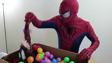 Spiderman vs Joker vs Venom - Real Life Superhero Battle Movie