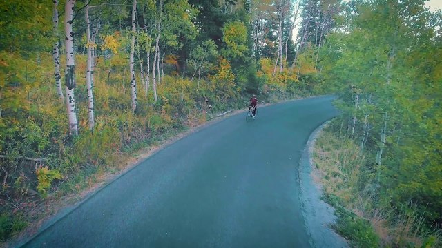 Ils créent des pneus de vélo sans air et increvables. Cool !