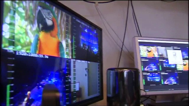 Donald Trump au pouvoir: les entreprises belges ne sont pas inquiètes