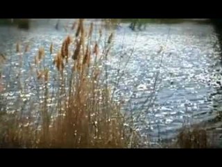 Avrasya Seyir Defteri 13 Kasım Salı