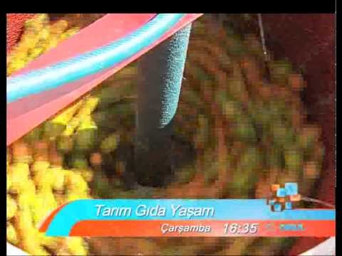 Kırşehir Kaman ve Kaman Cevizi Tarım-Gıda-Yaşam'da..