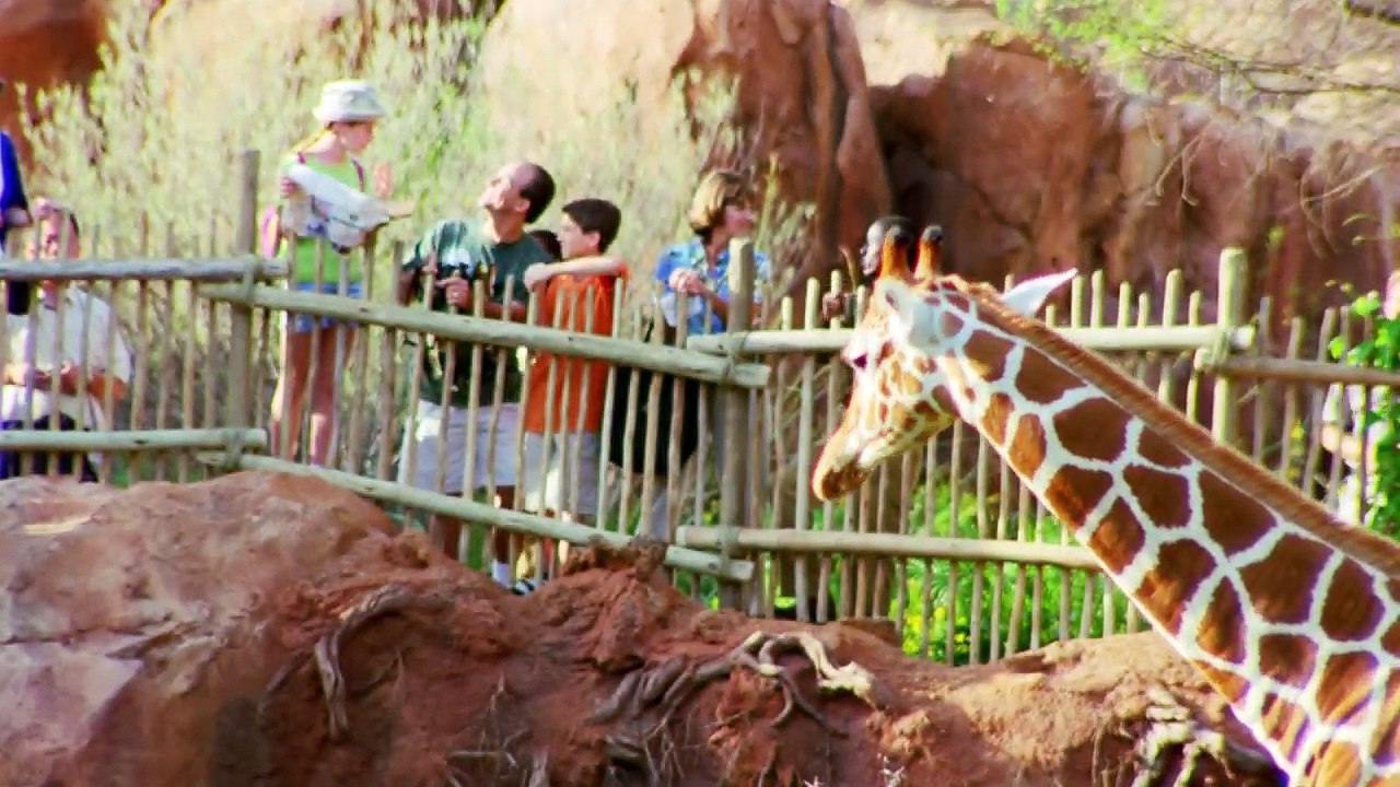 Disney’s Animal Kingdom Lodge - Walt Disney World