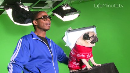 Doug E. Fresh Collaborates with Doug the Pug for "The 12 Stinks of Christmas"