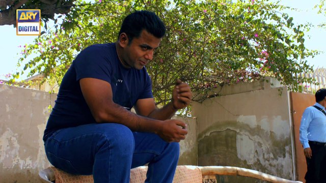 Watch Tum Meri Ho Last Episode 25 on Ary Digital in High Quality 10th November 2016