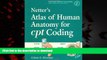 Best books  Netter s Atlas of Human Anatomy for CPT  Coding