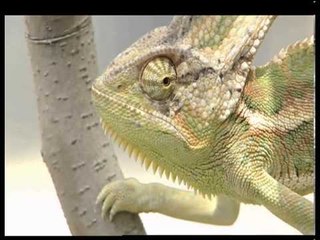 Bir Evde 9 Ocak Çarşamba 21.15'te TRT Okul'da...