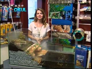 Bir Evde 28 Kasım 2012 Bölüm Tanıtımı - TRT Okul