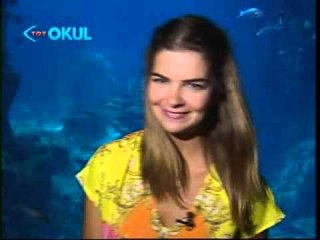 Bir Evde 21 Kasım 2012 Bölüm Tanıtımı - TRT Okul