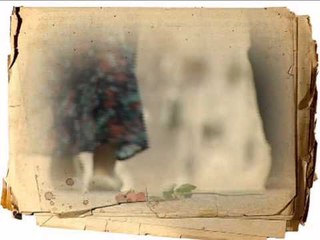 Hayat Kısa Kuşlar Uçuyor TRT Okul'da...