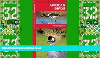 Buy NOW  African Birds: A Folding Pocket Guide to Familiar Species (Pocket Naturalist Guide