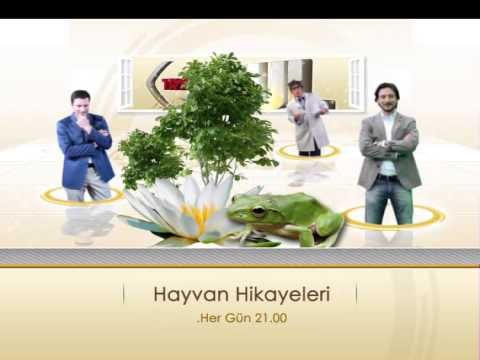 Yeni Yayın Dönemi TRT Okul