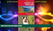 Deals in Books  Birds of Ireland: A Folding Pocket Guide to Familiar Species (Pocket Naturalist