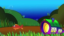 Çizgi film PEPE - Pepe ve Turuncu Yengeç (Deniz canlıları)