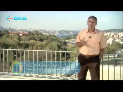 Strateji̇k Yönetim 2. Ders (AÖF 2013-2014) - TRT Okul