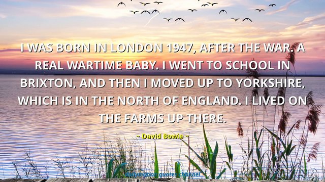 David Bowie Quotes #3