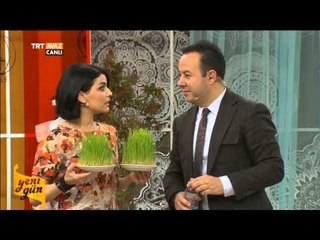 Yeni Gün (Semeni) - TRT Avaz
