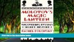 Deals in Books  Molotov s Magic Lantern: A Journey in Russian History  Premium Ebooks Online Ebooks